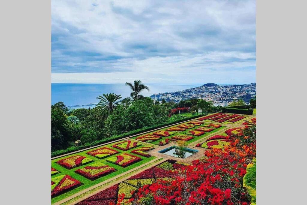 Funchal Center Apartment II Kültér fotó